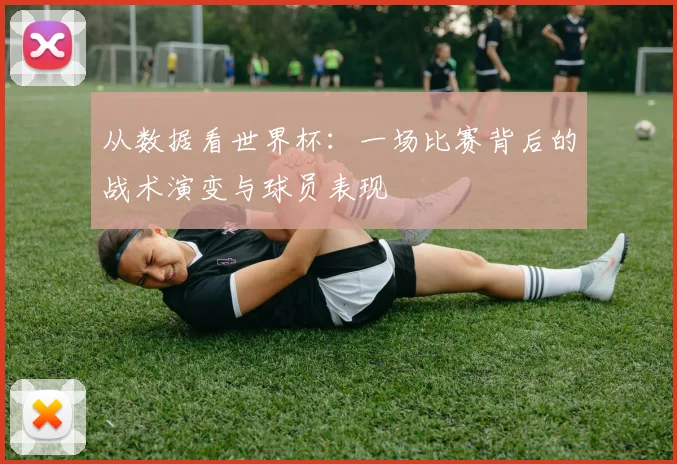 从数据看世界杯：一场比赛背后的战术演变与球员表现