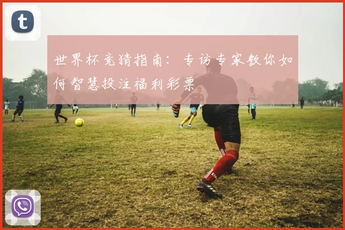 世界杯竞猜指南：专访专家教你如何智慧投注福利彩票