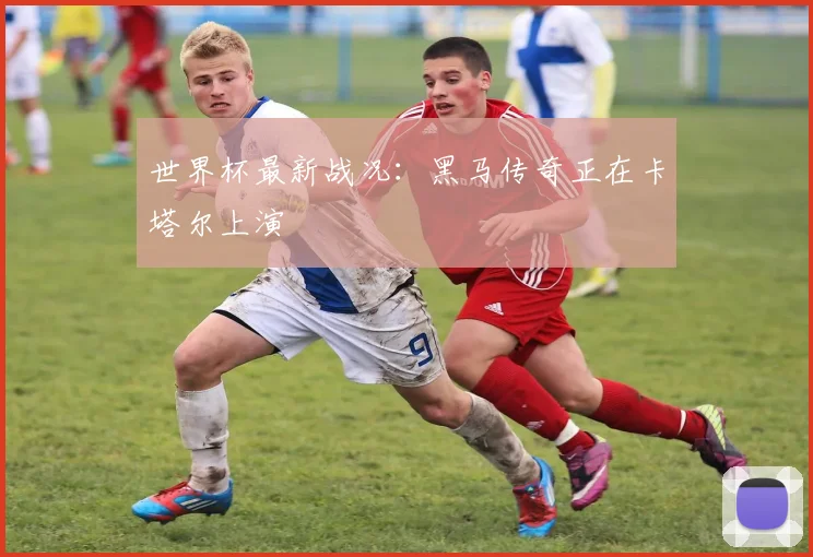 世界杯最新战况：黑马传奇正在卡塔尔上演