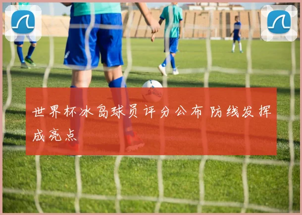 世界杯冰岛球员评分公布 防线发挥成亮点