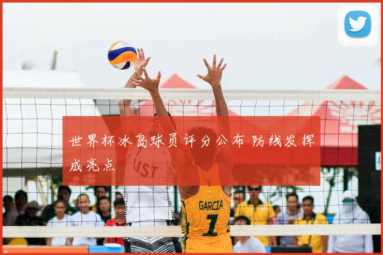 世界杯冰岛球员评分公布 防线发挥成亮点