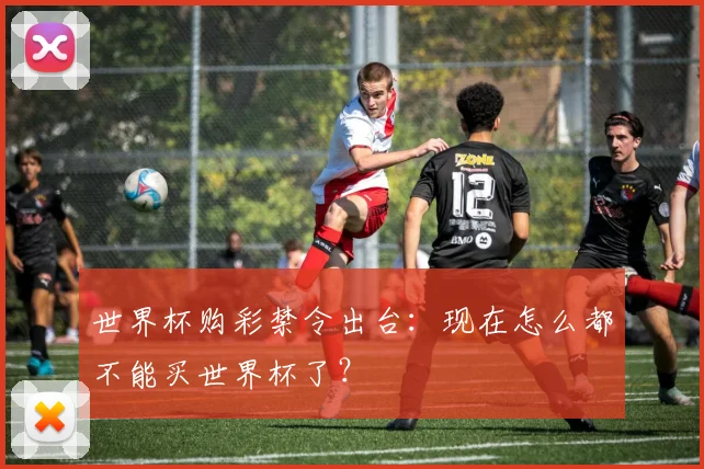 世界杯购彩禁令出台：现在怎么都不能买世界杯了？