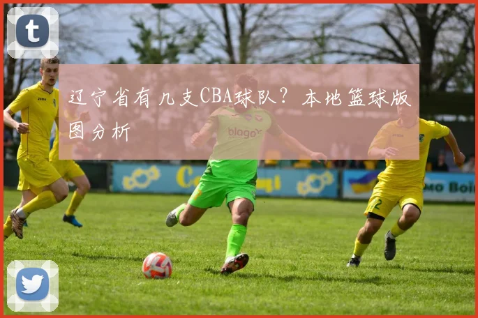 辽宁省有几支CBA球队？本地篮球版图分析