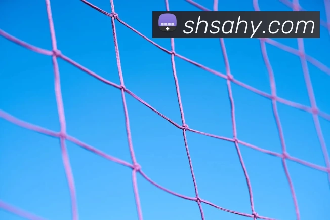 App Interface Preview